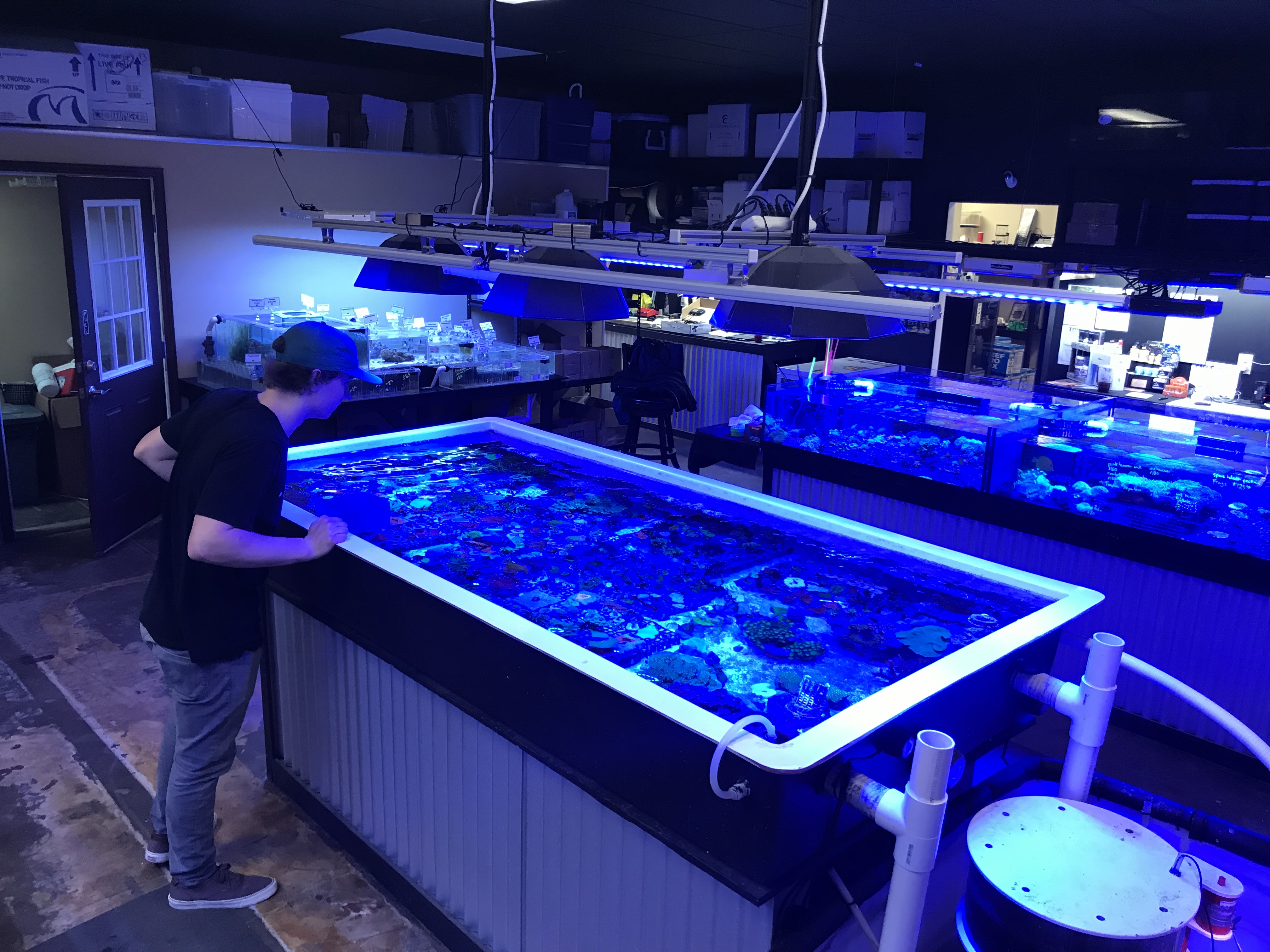 Working at coral shop