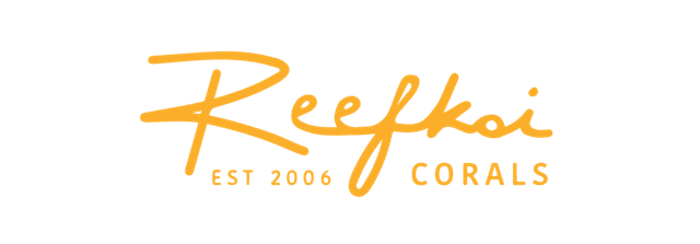 Brand Showcase