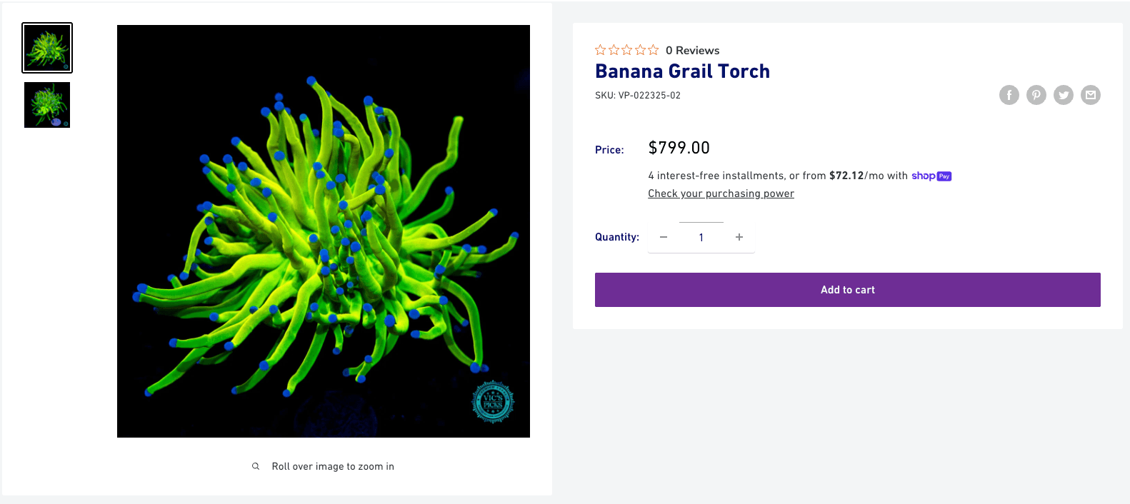 Banana Grail Torch - standard listing