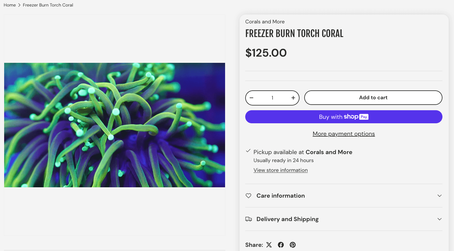 CAM Freezer Burn Torch - vendor prefix variant