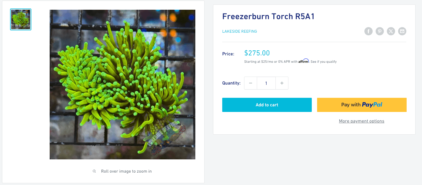 Freezerburn Torch - same coral, inventory code and different spelling