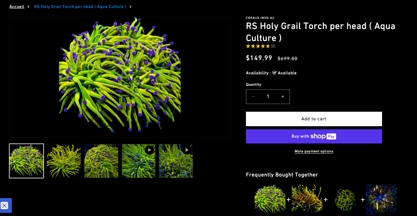 RS Holy Grail Torch - same coral, different vendor, per-head pricing