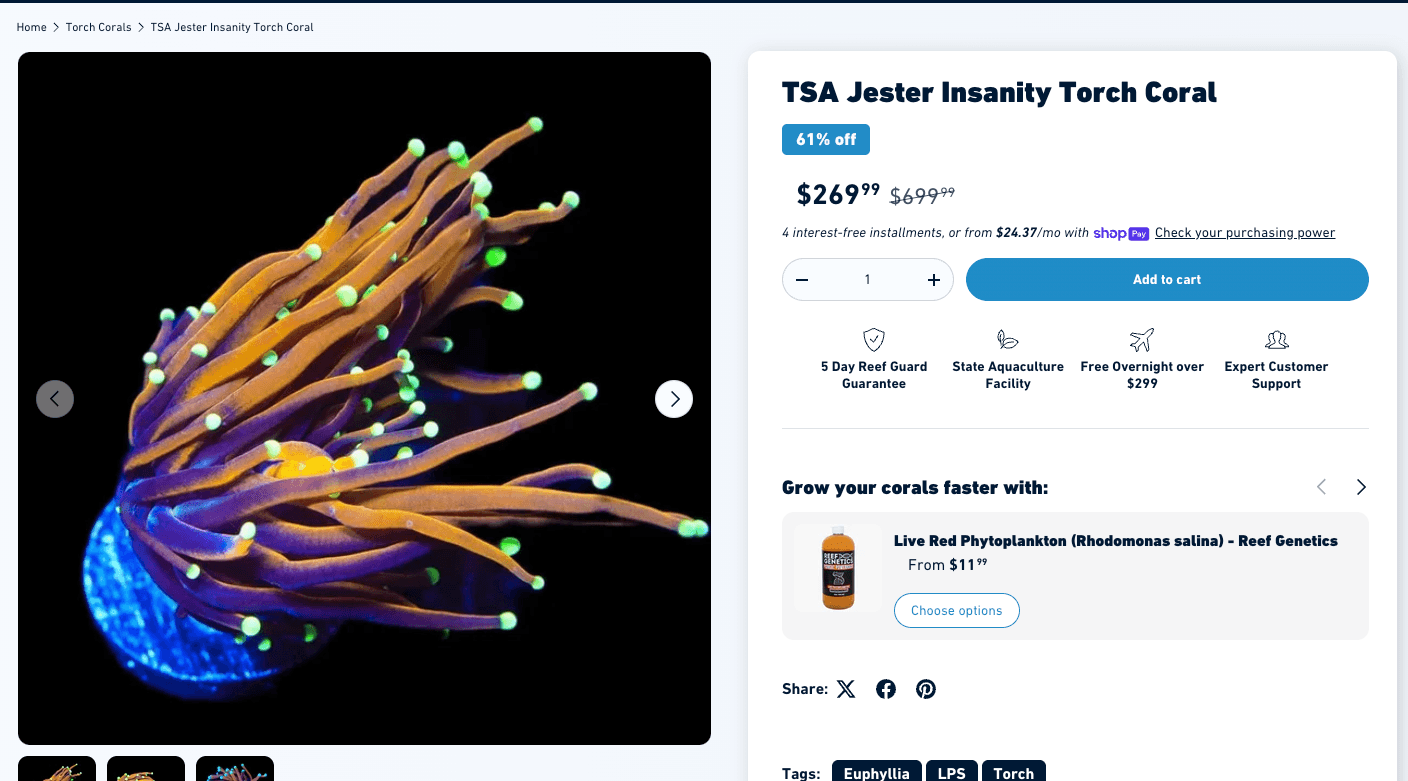 TSA Jester Insanity Torch - same premium variant with vendor prefix